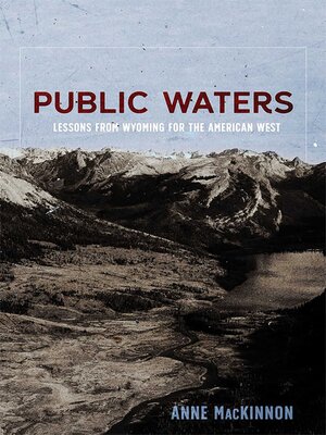 cover image of Public Waters